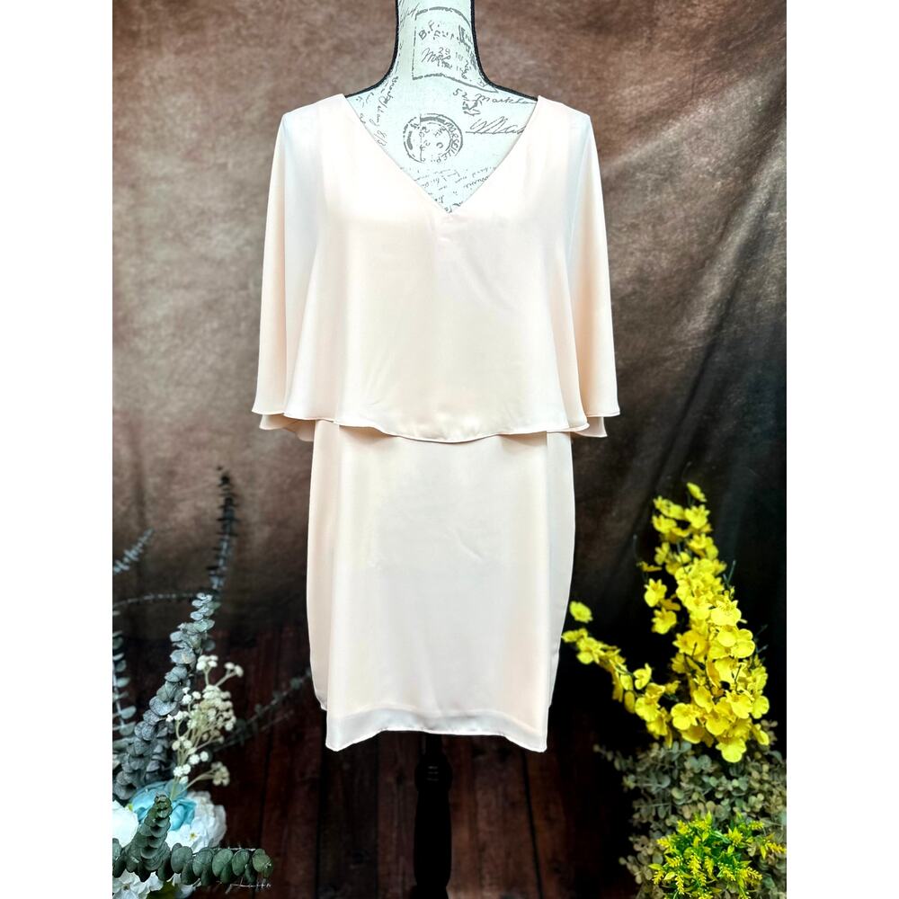 Three Eighty Two V Neck Overlay Chiffon Mini Dres… - image 3